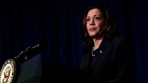 State Democratic Party chairs vote to endorse Kamala Harris