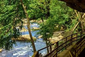 Camping in west virginia is a very popular activity throughout national parks, state parks and state forests. Campgrounds West Virginia State Parks West Virginia State Parks