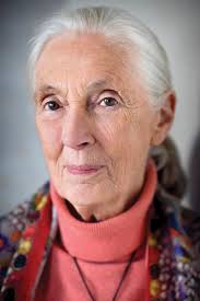 Dr Jane Goodall in Conversation