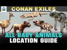 Steam Community Video Conan Exiles All Baby Animal Locations Incl Horses 2020 Guide