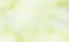 Wrangler: 2023 Summer by Yellowstone Boys & Girls Ranch Foundation