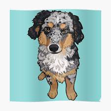 Get My Art Printed On Awesome Products Support Me At Redbubble Rbandme Https Www Redbubble Com Shop P In 2020 Dog Canvas Dog Poster Australian Shepherd Blue Merle