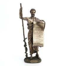 Image result for Hippocratea goetzei