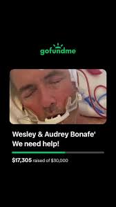 A Bonafe the dog lover (@audreybonafe2024)