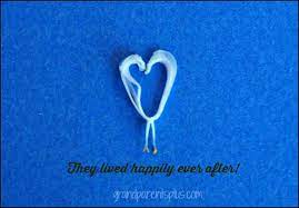 The Bleeding Heart Flower And The Cinderella Story Grandparentsplus Com Bleeding Heart Flower Bleeding Heart Flower Heart