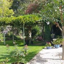 April 2020 In 2020 Garden Fall Colors Plants