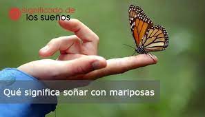 Que Significa Sonar Con Mariposas 2021 25 Significados