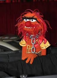 Animal Chained Muppets Animal Muppet The Muppet Show Muppets