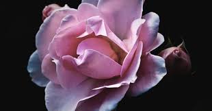 Waiting 90 seconds for our food is too long. Impatient Why And How To Practice Patience Psychology Today