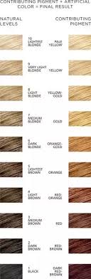 How Long Should You Wait Before Bleaching Hair Again Quora