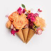 Maybe you would like to learn more about one of these? Avas Flowers Avasflowers Profile Pinterest