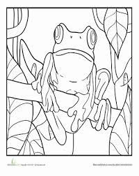 Plus, it's an easy way to celebrate each season or special holidays. Tree Frog Worksheet Education Com Frog Coloring Pages Animal Coloring Books Coloring Pages