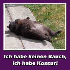 Die Lustigsten Whatsapp Bilder Zum Verschicken
