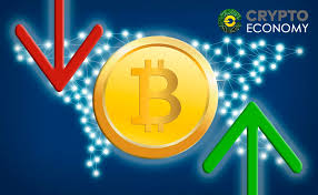 Even bitcoin, considered a fringe asset, had a historic price run, gaining more than 250% by the end of 2020. Will Bitcoin Value Go Up To 30 000 Or Down To 1 000 Crypto Economy