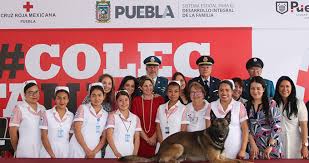 Quédate conmigo es una declaración del compromiso de cruz roja con las personas más vulnerables de la sociedad. La Cruz Roja Te Llama Cruz Roja Mexicana On Behance