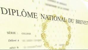 Resultats du brevet des colleges 2019. Resultats Du Diplome National Du Brevet Dnb Actualites College La Chenevriere Des Arbres