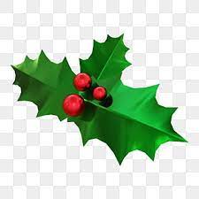 Holly Leaves Decoration With Red Berries Holly Leaves Clipart Holly Christmas Png Transparent Clipart Image And Psd File For Free Download Leaf Decor Red Ornaments Holly Decorations