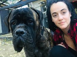 Please share your experience about any successful reintroductions after  fights between 2 females. We just moved across country so there are a lot  of triggers. My girls have always had tension…now the