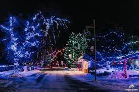 Glen Avenue Christmas Garden 2022 Best Places To See Christmas Lights & Holiday Displays In Calgary Area