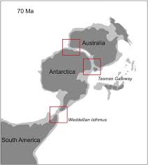 We are latin america's leading business intelligence platform. Final Gondwana Breakup The Paleogene South American Native Ungulates And The Demise Of The South America Antarctica Land Connection Sciencedirect