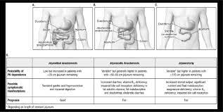 The mortality rate was 2.5%.conclusion: Types Of Intestinal Resections A Jejunoileal Anastomosis B Download Scientific Diagram