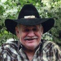 Mr. Larry "Bear" Livingston Obituary