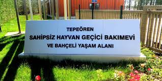 Dunyadan Gocen Hayvan Isimleri Ani Duvarinda Yasatilacak