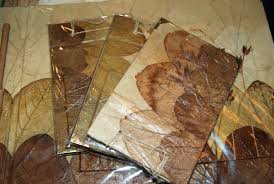 Daun kering kain kertas adalah bahan yang aman untuk membuat. Kreasikan Daun Kering Menjadi Uang Abdul Muin Hafied