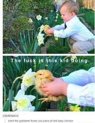 Tumblr Smell The Flower Baby Chicken Funny Baby Jokes Baby Jokes Funny Baby Memes