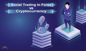 There is no company or central bank controlling bitcoin, so it cannot be inflated like the dollar. Social Trading In Forex Vs Crypto Learn The Major Differences And Similarities