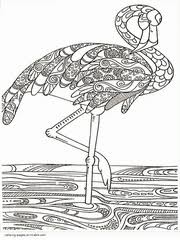 Aesop's fables coloring pages all about me coloring pages alphabet coloring pages american sign language coloring pages bible coloring pages bingo dauber art sheets birthday coloring pages circus coloring pages children coloring pages color buddies coloring pages community helpers & people construction coloring pages dental health. 34 Bird Coloring Pages For Adults Free