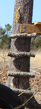 To make a wooden tree house ladder. My Life In The Zoo Homemade Playset 1 Year Later Tree House Playground Diy Tree Tree House Diy