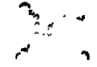 You can then access through your . Best Animated Gifs Download On Gifer Millions Of Gifs