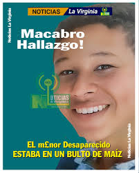 Noticias La Virginia