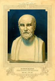 Image result for Hippocratea goetzei