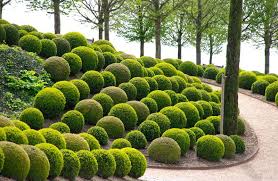 16 Marvellous Topiary Ideas Backyard Landscaping Designs Urban Garden Landscape Design