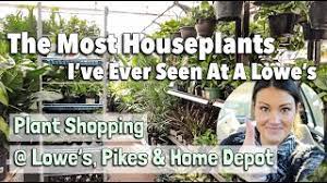 We did not find results for: Big Box Restock 11 Huge Pallets Plant Shopping Lowes Home Depot Pikes Huntersville Nc Youtube