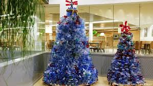 Learn how to care for christmas cacti, thanksgiving cacti, and easter cacti, including how to christmas cacti prefer a more humid environment, which makes a bright bathroom or kitchen a how to care for christmas cacti. Christmas Eco Friendly Alternative Trees Environment All Topics From Climate Change To Conservation Dw 18 12 2020