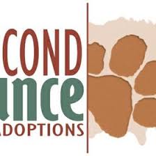We are dedicated to helping homeless animals and displaced dogs and cats find loving, responsible, safe homes. Second Chance Pet Adoptions 2ndchancepet Profile Pinterest