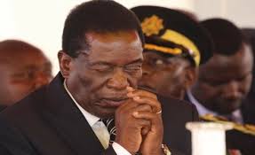 2023 ELECTIONS: 'ED Mnangagwa is going to be number 2' (LISTEN)