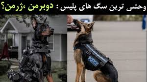 Check spelling or type a new query. ÙˆØ­Ø´ÛŒ ØªØ±ÛŒÙ† Ø³Ú¯ Ù¾Ù„ÛŒØ³ Ø¯ÙˆØ¨Ø±Ù…Ù† ÛŒØ§ Ú˜Ø±Ù…Ù† Youtube