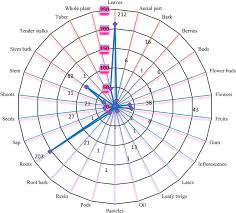 Image result for Scepocarpus hypselodendron