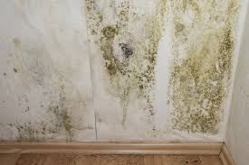 Check spelling or type a new query. Peinture Anti Moisissure Son Prix Comment La Choisir Et L Appliquer