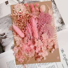 Check spelling or type a new query. Uk Dried Flowers Resin Mold Fillings Expoxy Flower For Nail Art Pressed Flower Ebay