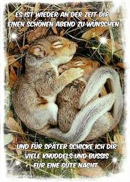 Gute Wunsche Lustige Bilder Von Tieren Lustige Tiere Tierbilder