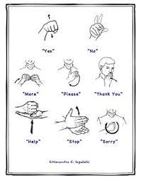 Sign Language Sign Language Sign Language Phrases Sign Language Alphabet