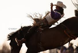 Lexi Christopher Photography