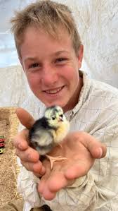 They’re here! 2,600 tiny, baby chicks! 😍, #Colorado #food #boulderfood  #denverfoodies #market #farmersmarkets #chickens #fresheggs #familyfarm  #realfood #real #farmmarket #farmfresh #farmfresheggs ...