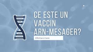 How are the others doing? Rovaccinare Ce Este Un Vaccin Arn Mesager Youtube