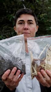 Lawmakers propose bill allowing composting of human remains